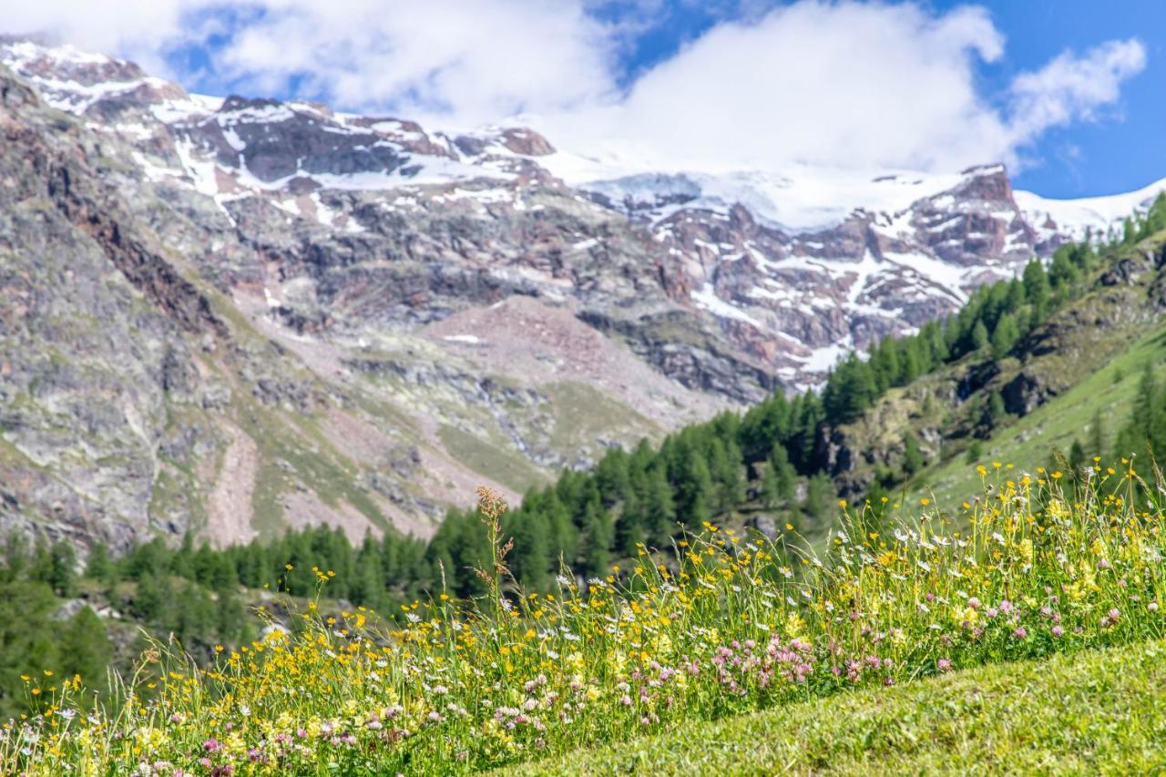 Alta Luce Mountain Lodge Gressoney-la-Trinité Kültér fotó